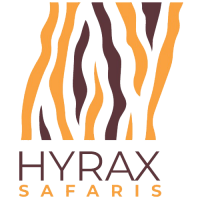 Hyrax Safaris