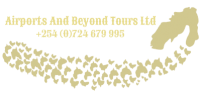 Airports and Beyond Tours