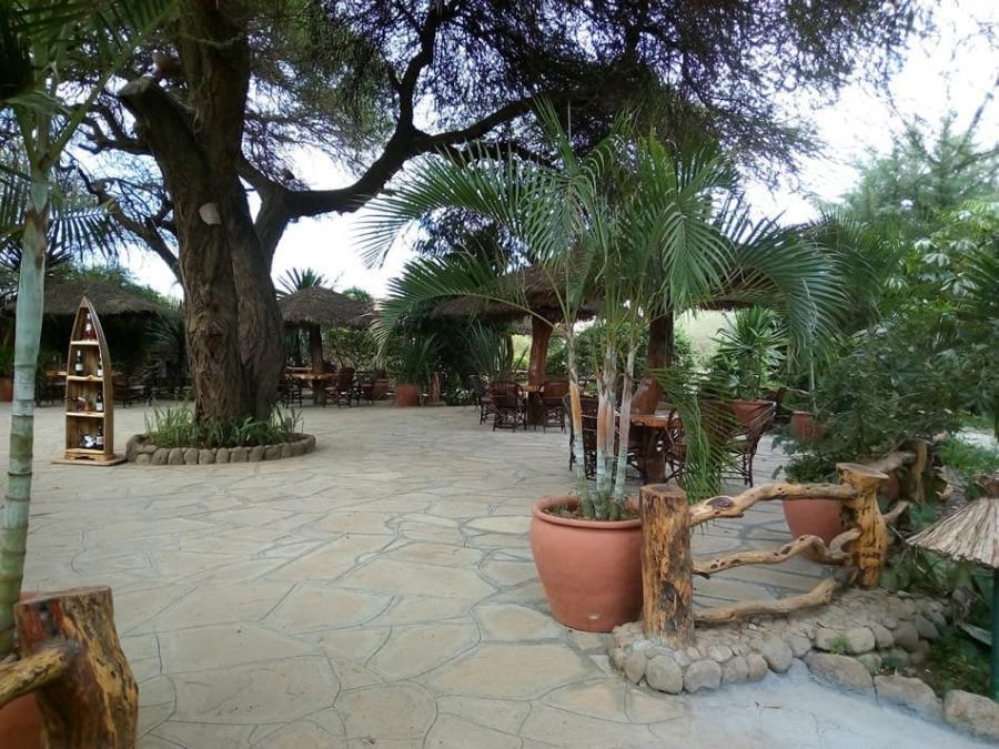 Kibo Safari Camp